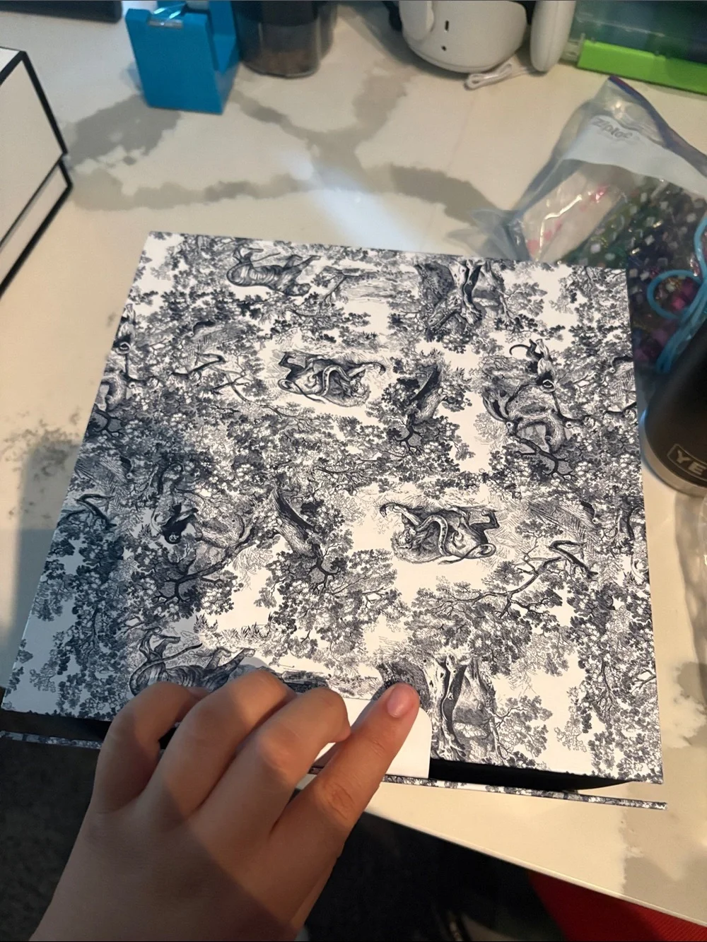 Dior Black and White Toile Decorative Wall Art